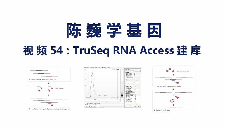 切尔西：转变引援理念但精神优势难量化