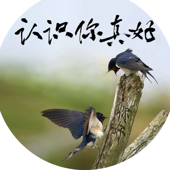 安子一脚踹飞背叛者救妻闯地下室