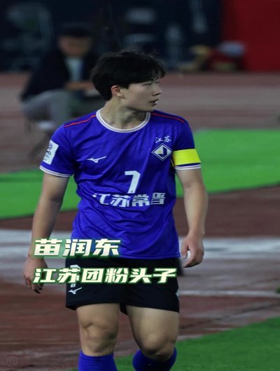 苗润东背后的饭圈狂欢现象