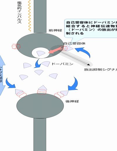 全国青训热潮加速！15+基地投入使用，下半年规划20+项目升级升级