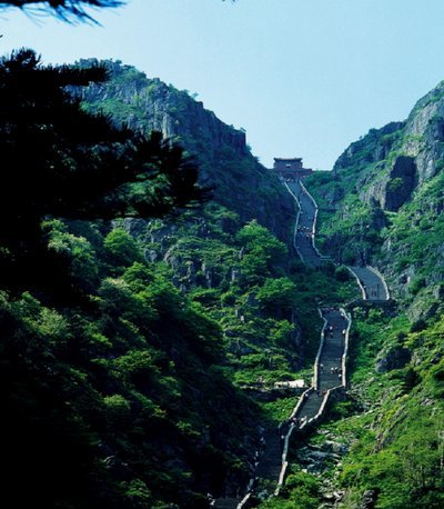 河南双响完胜泰山