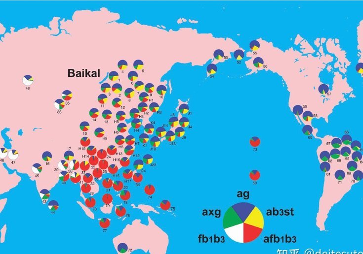 日本人种究竟是什么？一次基因与文化之旅