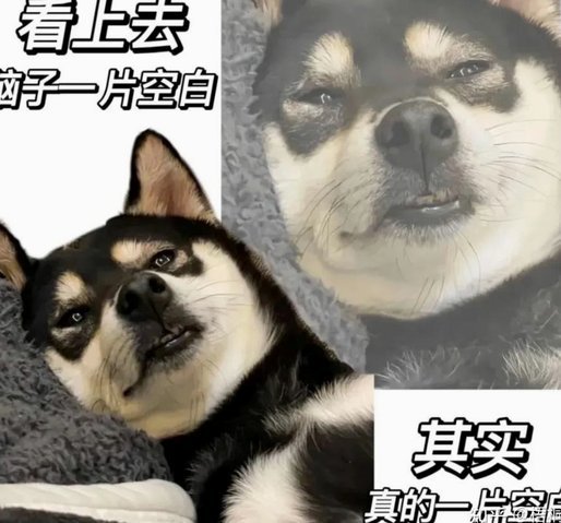 三十岁电子厂打工人的社会嘲讽