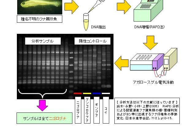 老二加盟巴萨记者为何仍未披露？